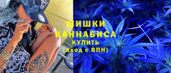 хмурый Арсеньев