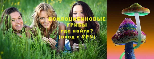 дживик Аркадак