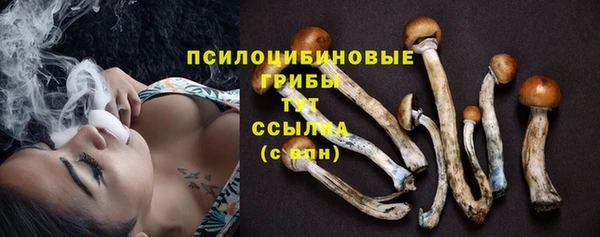 стафф Армянск